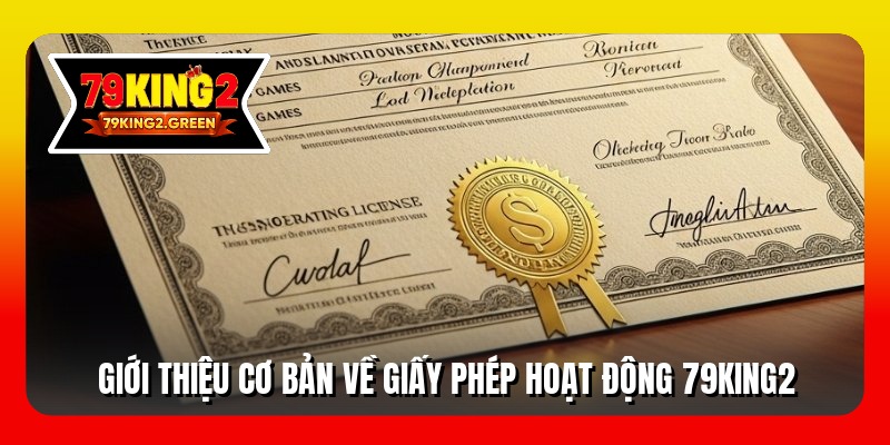 Giới thiệu cơ bản về giấy phép hoạt động 79king2